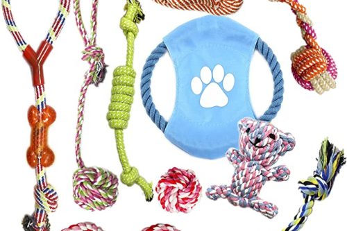 FOX GIVEAWAY- VIROSA Dog Rope Toys | Pack of 10