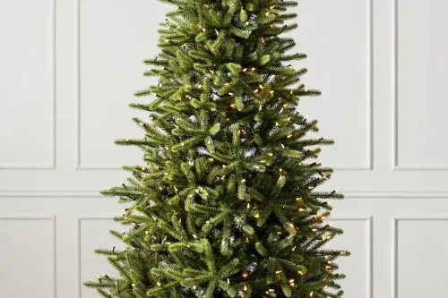 WIN A BALSAM HILL Grandview Fir 6'