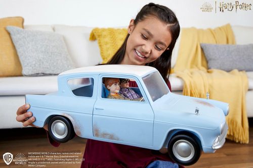Harry Potter Harry & Ron's Flying Adventure Car with Harry and Ron Dolls