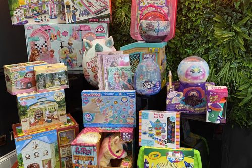 ULTIMATE GIRLS TOY BUNDLE