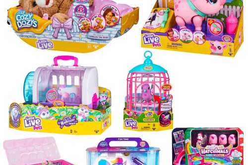 TOY DAY- AUTO WIN-LITTLE LIVE PETS BUNDLE