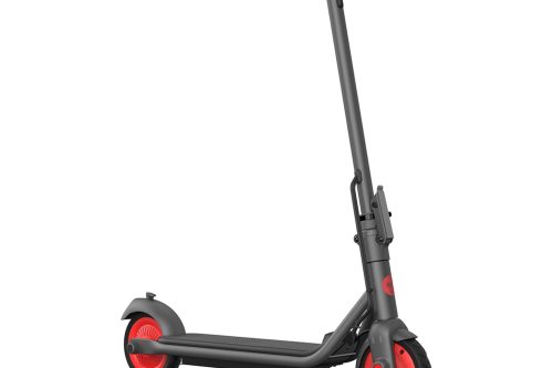 SEGWAY Ninebot Zing C20 Electric Scooter