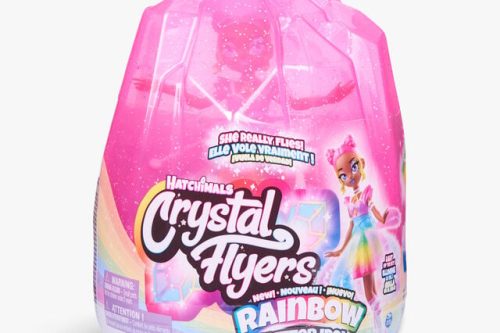 TOY DAY- AUTO WIN-2 WINNERS Spinmaster Hatchimals Pixies Crystal Flyers Rainbow Glitter Idol