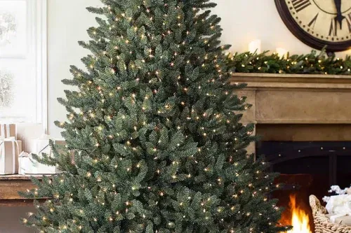 WIN A 7' Canadian Blue Green Spruce