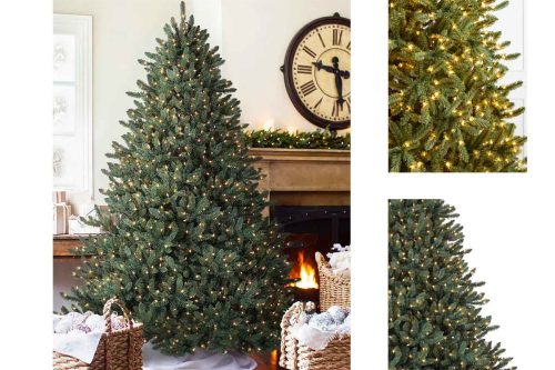 WIN A Balsam Hill 7' Canadian Blue Green Spruce