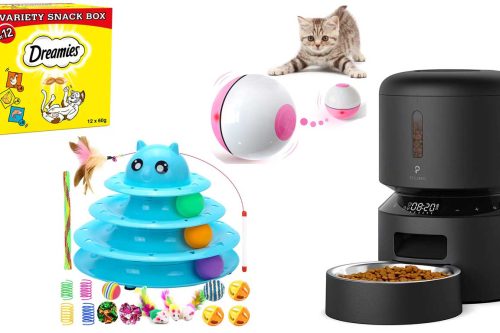 WIN A KITTY BUNDLE