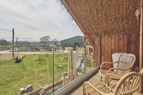 WIN A 2 NIGHT STAY IN THE GIRAFFE LODGE AT WEST MIDLANDS SAFARI PARK