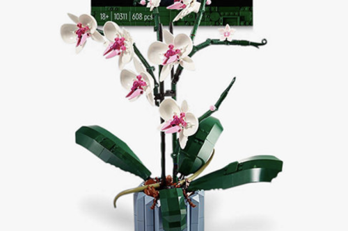 FREE GIVEAWAY - LEGO Creator 10311 Orchid