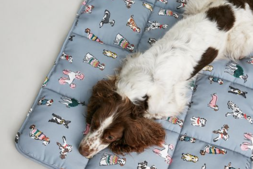 Joules Rainbow Dogs Travel Mat