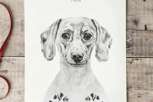 AUTO WIN - Personalised Paw Print Keepsake Kit