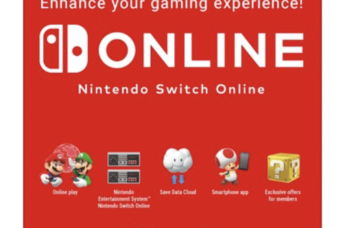 AUTO WIN - Nintendo Switch Online 12 Month Family Membership Digital Download