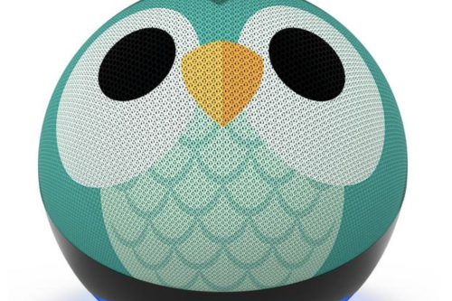 AUTO WIN - AMAZON Echo Dot Kids (5th Gen) Smart Speaker with Alexa - Owl