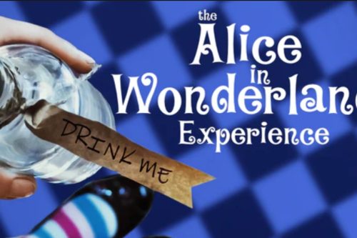 3 WINNERS! - ALICE IN WONDERLAND TORQUAY - CLUEDUPP GAMES