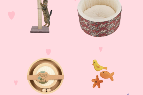 Laura Ashely Libby Ditsy Floral Cat Cosy & Cat Accessories