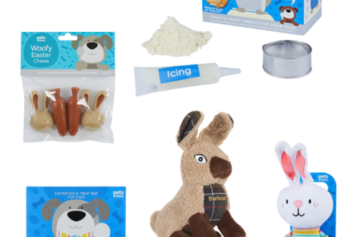 AUTO WIN - WIN A EASTER DOGGY BUNDLE