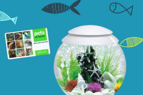 AUTO WIN - BiOrb HALO LED Aquarium 30 Litre White & £50 Pets at Home Voucher #2