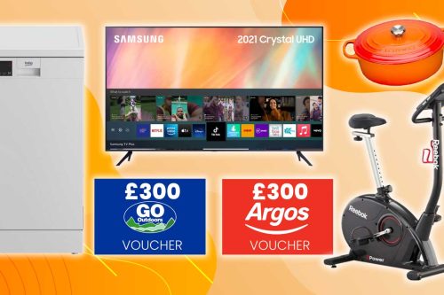 PICK A PRIZE FOR 50p A TICKET - 13/1