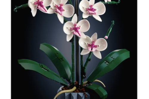 AUTO WIN - LEGO 10311 Icons Botanical Collection Orchid Plant & Flowers Set for Adults
