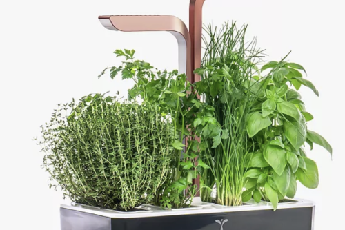 Veritable Indoor Garden Smart Edition 4 Slot Herb & Plant Holder, Black/Copper