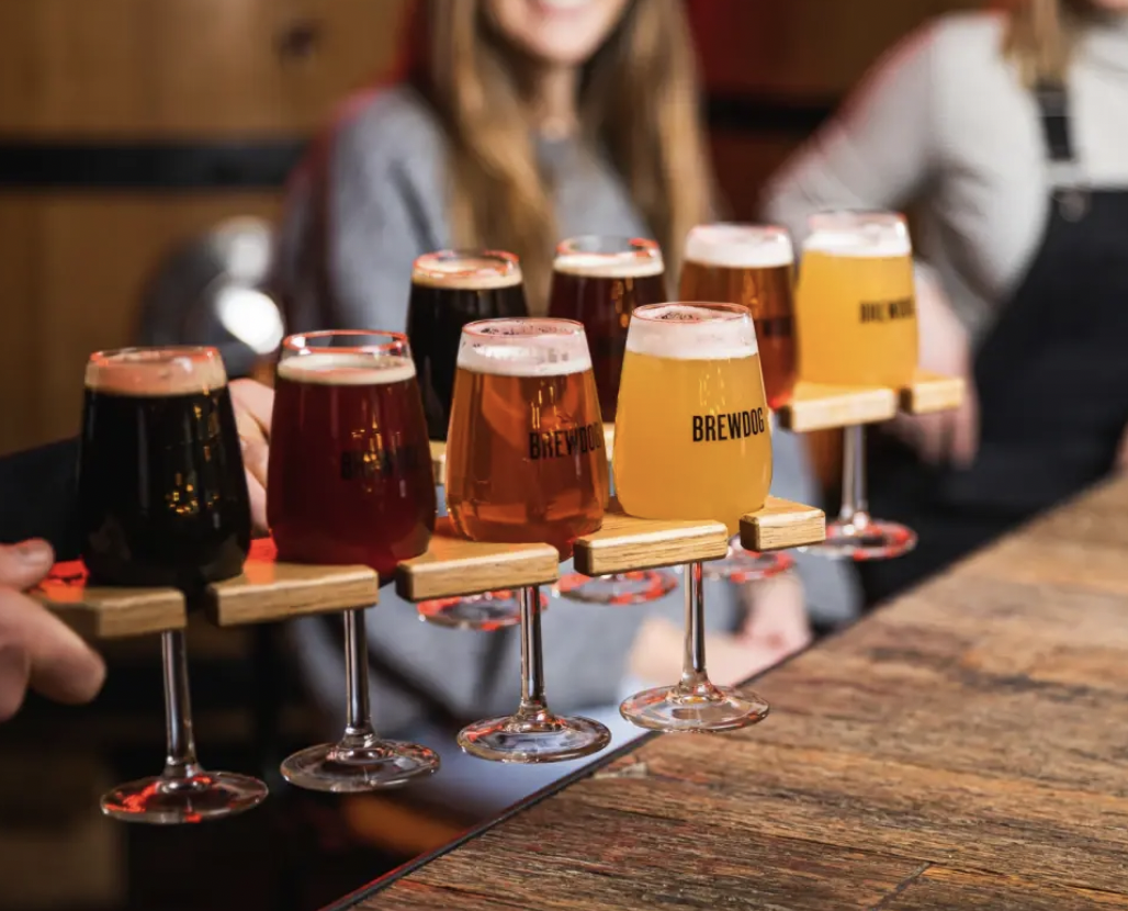 brewdog-beer-school-for-4-gift-voucher-competition-fox