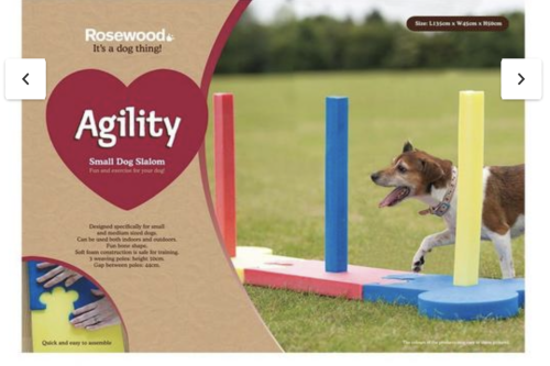 AUTO WIN - Rosewood Agility Slalom Outdoor Pet Activity