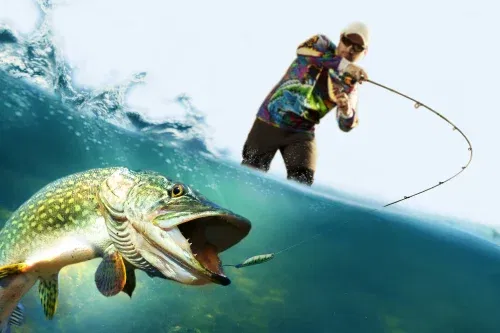 WIN A £300 FISHING VOUCHER FOR A SHOP OF YOUR CHOICE