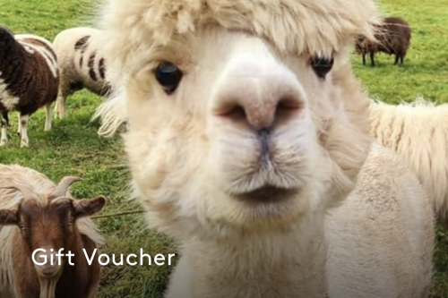 AUTO WIN - WIN A £100 EVOUCHER FOR ULLACOMBE FARM - 27/04