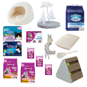 AUTO WIN - KITTEN STARTER BUNDLE - 29/04