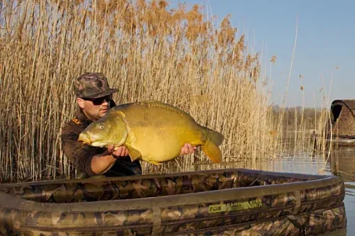 Win a  Fox Carpmaster AIR Mat