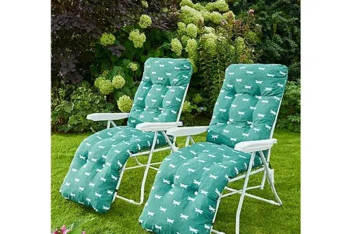 AUTO WIN - Miami Padded Relaxer Chair 2 Pack - Dragonfly Print - 15/05
