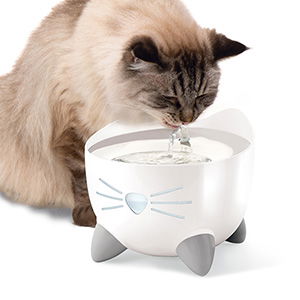 AUTO WIN - Catit PIXI Cat Drinking Fountain White Stainless Steel 2.5 Litre - 20/06