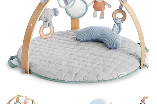 AUTO WIN- Ingenuity Cozy Spot Reversible Activity Gym