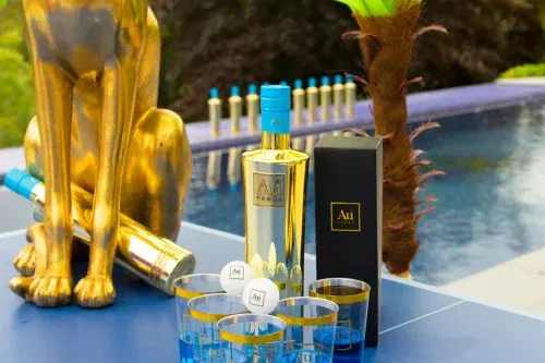 AUTO WIN - AU VODKA PONG SET & BOTTLE OF FRUIT PUNCH VODKA - 09/07