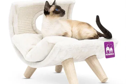 Little Rebels Denver 50cm Cat Bed