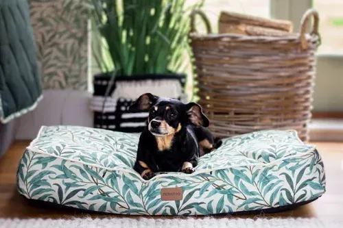 LATE NIGHT AUTO WIN - Morris & Co. Willow Bough Dog Mattress, Green, Large 08/09