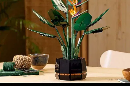 AUTO WIN - LEGO Icons 10289 Bird of Paradise - 03/09