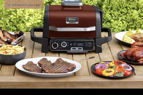Ninja Woodfire Electric Outdoor BBQ Grill, Smoker and Air Fryer - 29/08