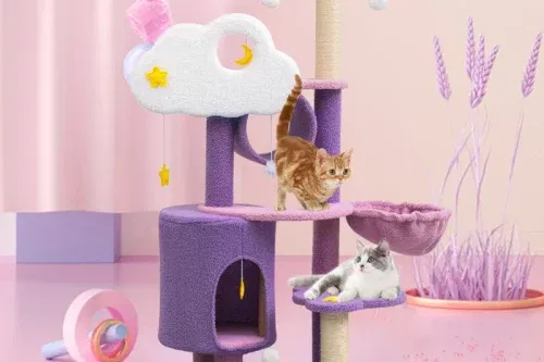 AUTO WIN - 140cm Northwoods Cat Tree - 24/09