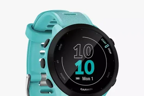 Garmin  Forerunner 55, GPS, Running Smartwatch, Blue