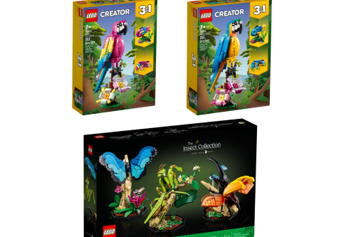 AUTO WIN - LEGO BUNDLE - 17/09