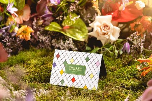 WIN £100 IVY GIFT CARD