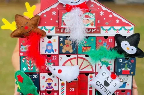 AUTO WIN - Giant Cat Advent Calendar - 30/10