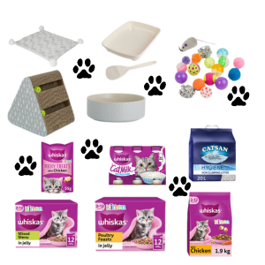 AUTO WIN - KITTEN STARTER BUNDLE - 05/11