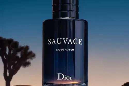 AUTO WIN - DIOR Sauvage Eau de Parfum, 100ml - 26/11