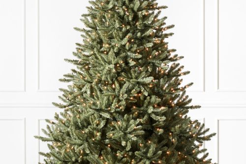 BALSAM HILL-Canadian Blue Green Spruce Tree