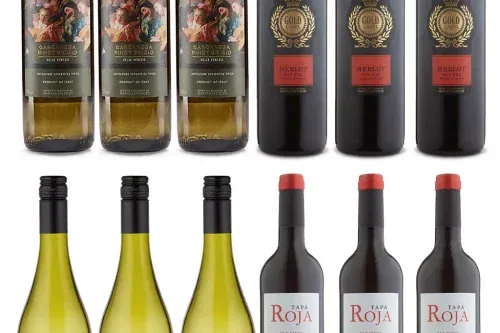 AUTO WIN-The Party Case - Case of 12