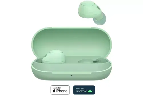 AUTO WIN - Sony WF-C700N True Wireless Noise Cancelling Earbuds - Sage - 14/12