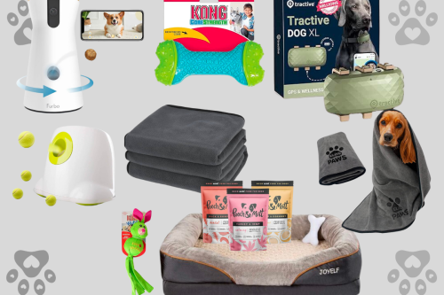 AUTO WIN-DOGGY BUNDLE