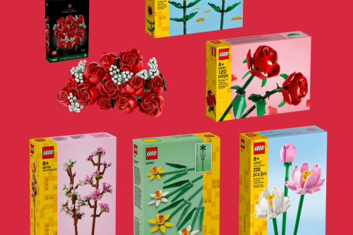 AUTO WIN - LEGO FLORIST BUNDLE - 18/01
