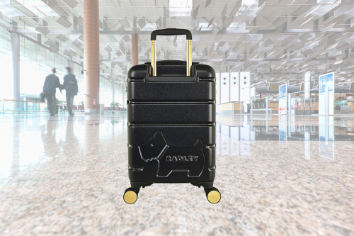 RADLEY - LEXINGTON 4 WHEEL CARRY ON SUITCASE - AUTO WIN 05/04